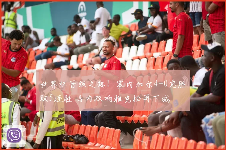 世界杯晋级之路!塞内加尔4-0完胜取5连胜 马内双响雅克松再下城