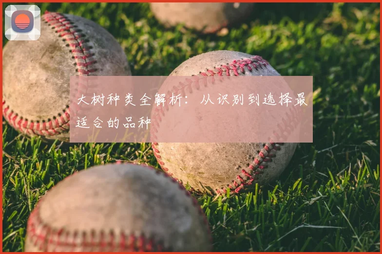 大树种类全解析：从识别到选择最适合的品种