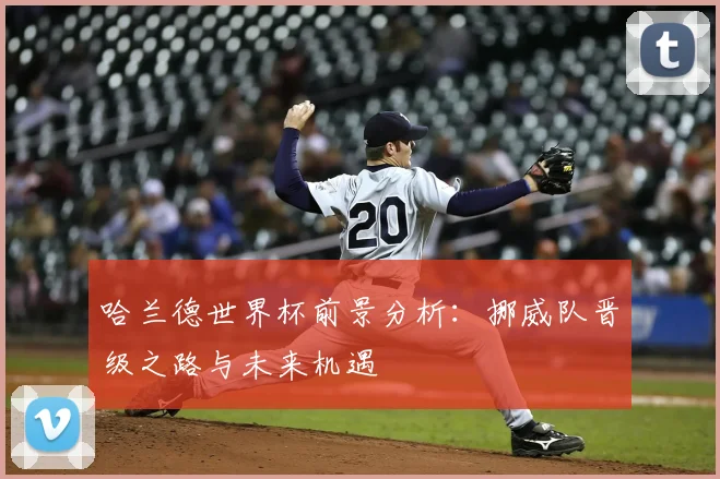 哈兰德世界杯前景分析：挪威队晋级之路与未来机遇