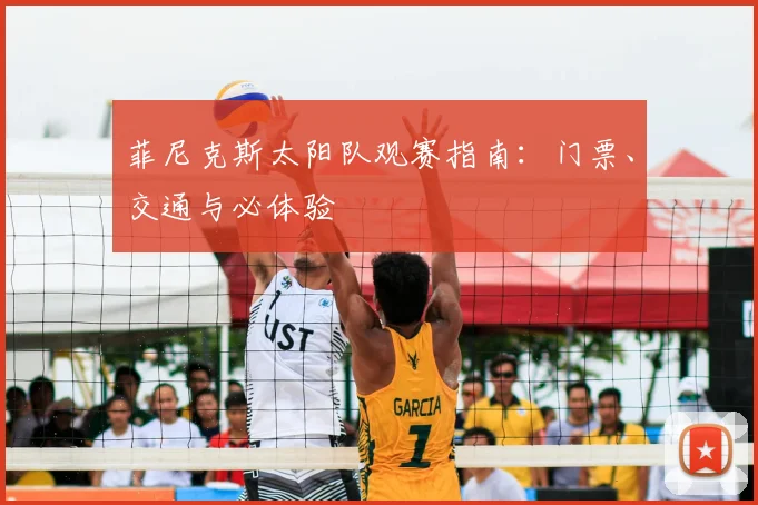 菲尼克斯太阳队观赛指南：门票、交通与必体验
